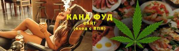 прущий лед Алзамай