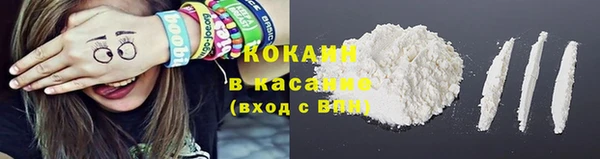 прущий лед Алзамай