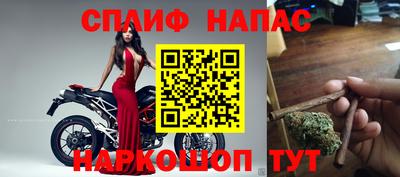 прущие крисы Можга