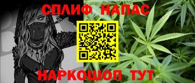 прущие грибы Моздок