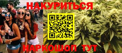 прущие грибы Моздок
