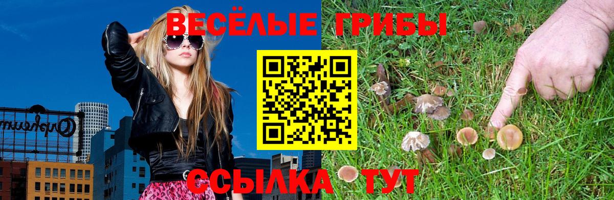 Псилоцибиновые грибы ЛСД  Вход с VPN  Конаково 