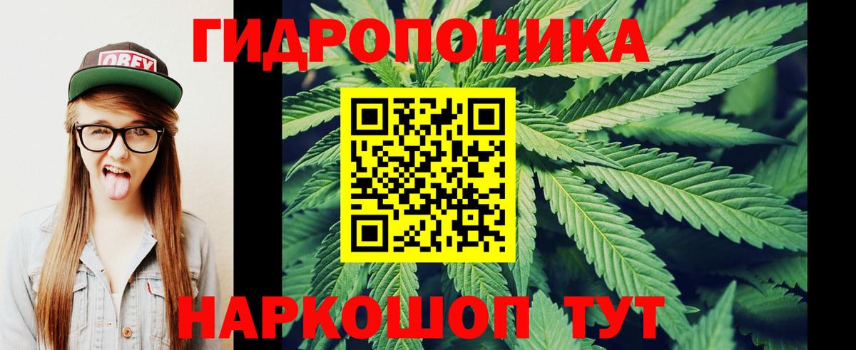 Канабис план Конаково